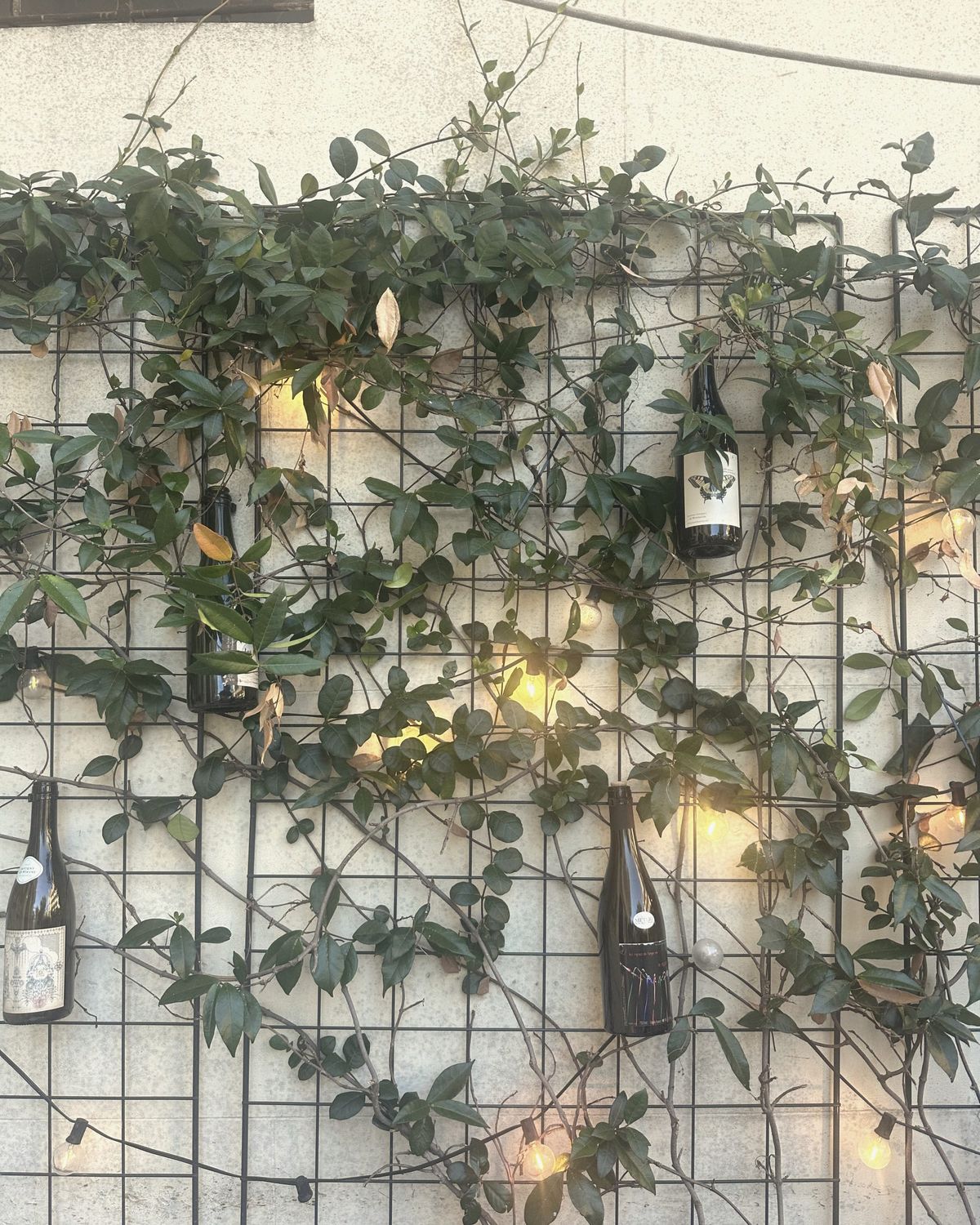 A wine list you have to look for