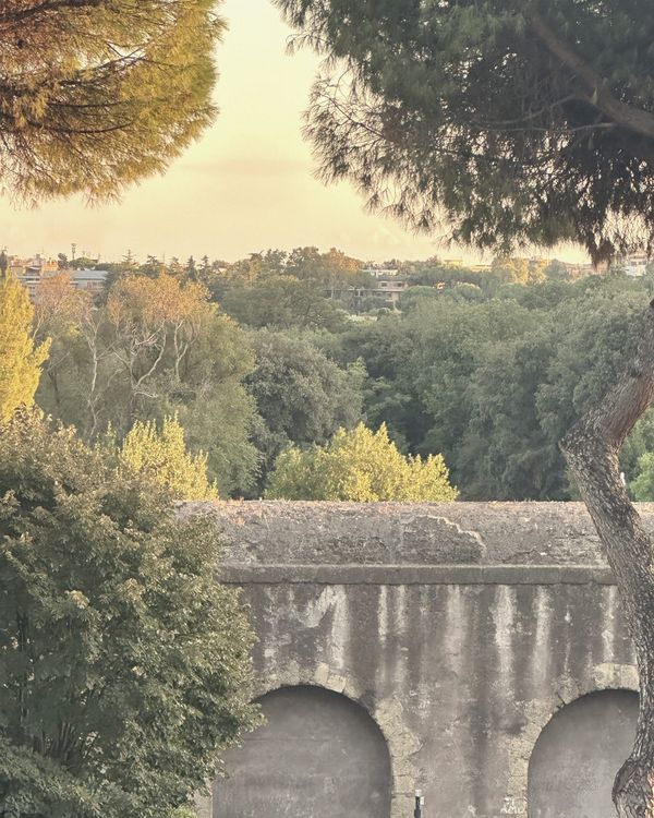 A road older than the wall, a wall older than the trees