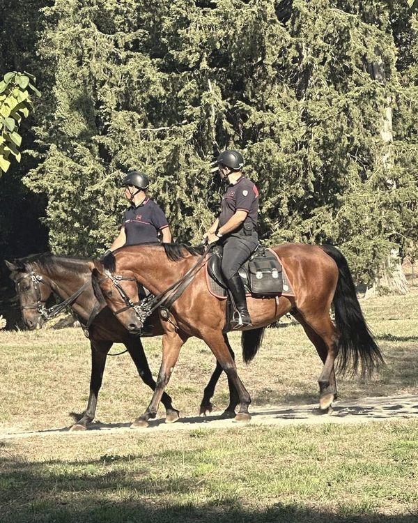 №052 — Carabinieri on horseback in the Villa Pamphili park