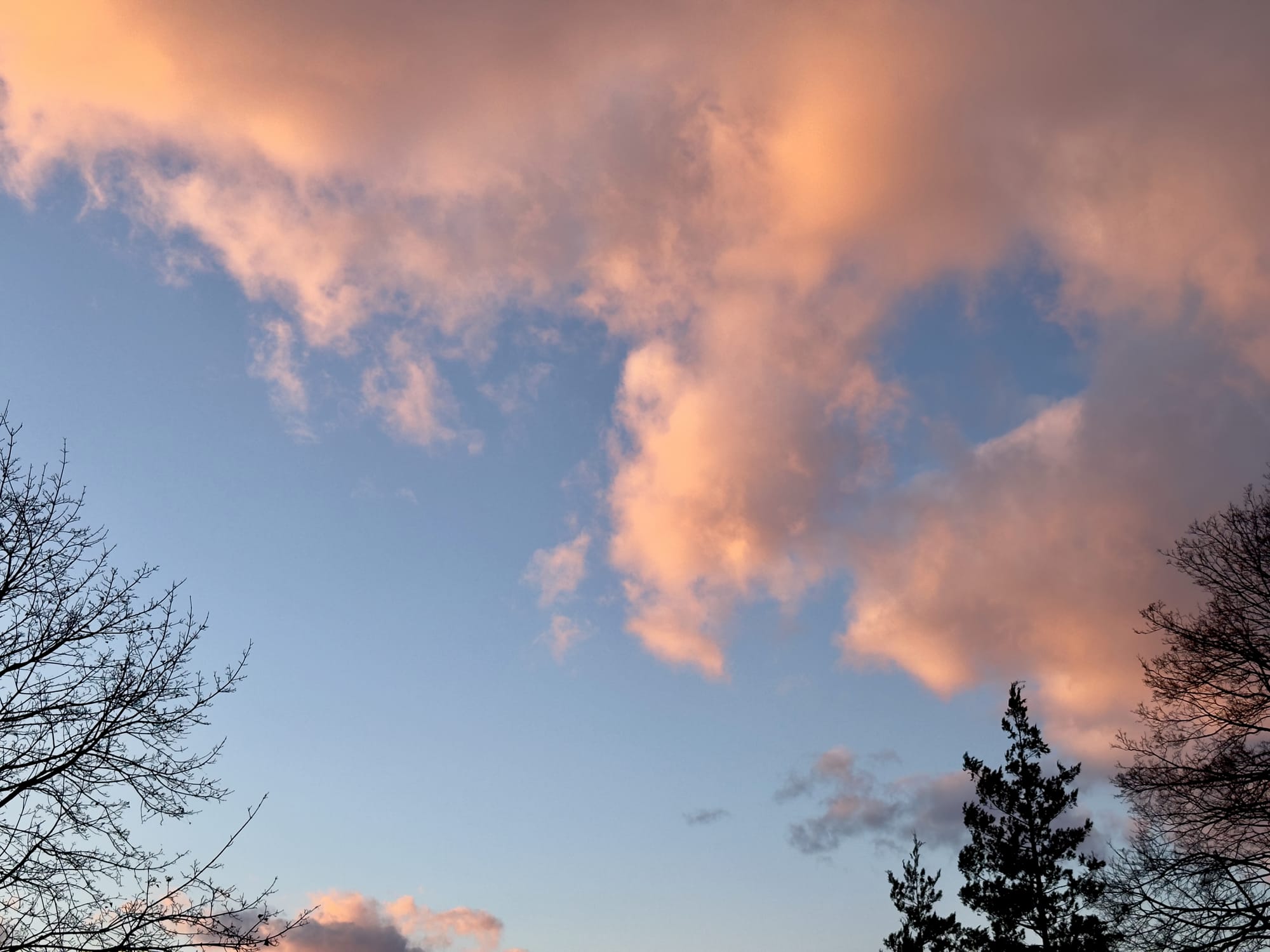 This Might Not Matter