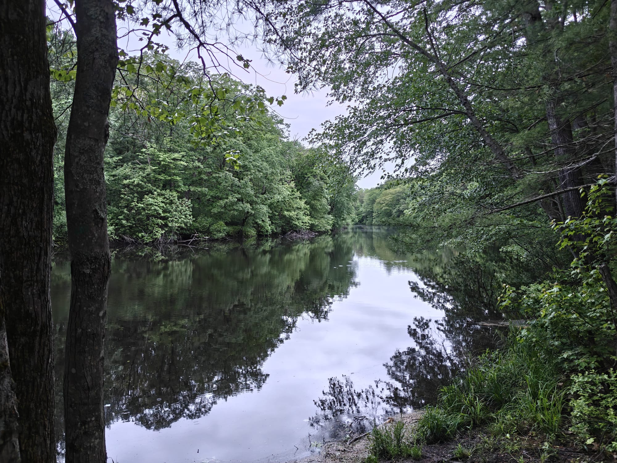 Peaceful Cocheco River reflecting green forest on a cloudy morning.