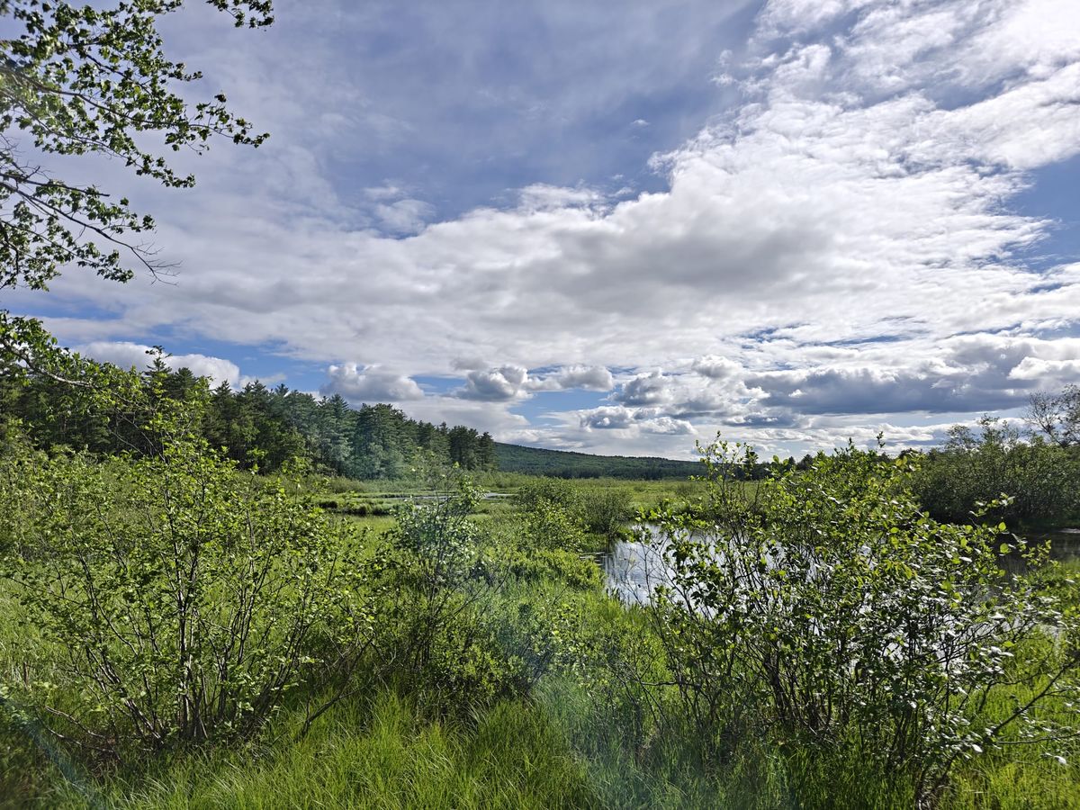 A Trek Along the Cocheco Railroad