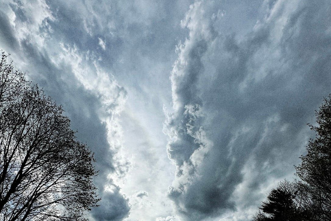 Dark and cloudy sky. Tree tops visible in periphery 