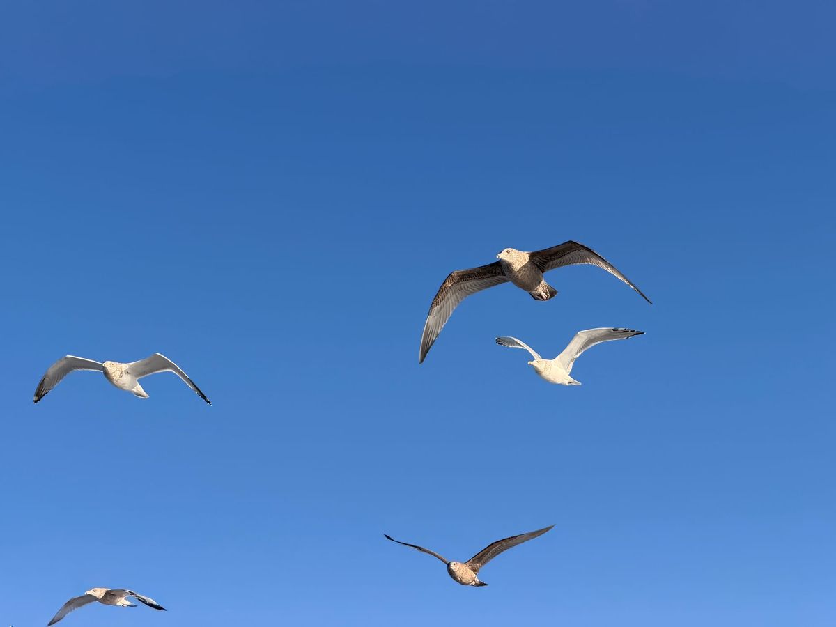 untitled plane crash post