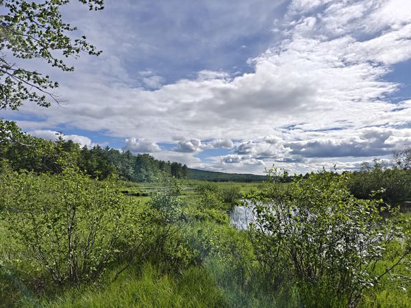 A Trek Along the Cocheco Railroad