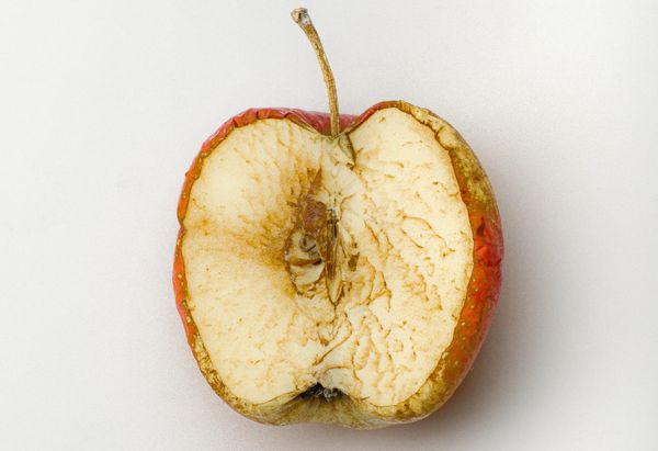 A slightly rotten apple on a white background