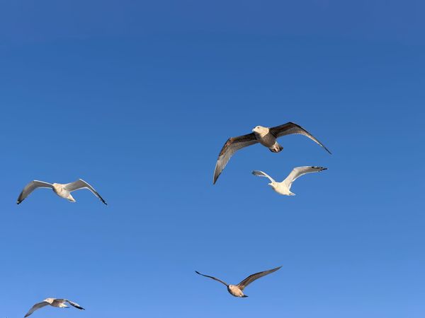 untitled plane crash post