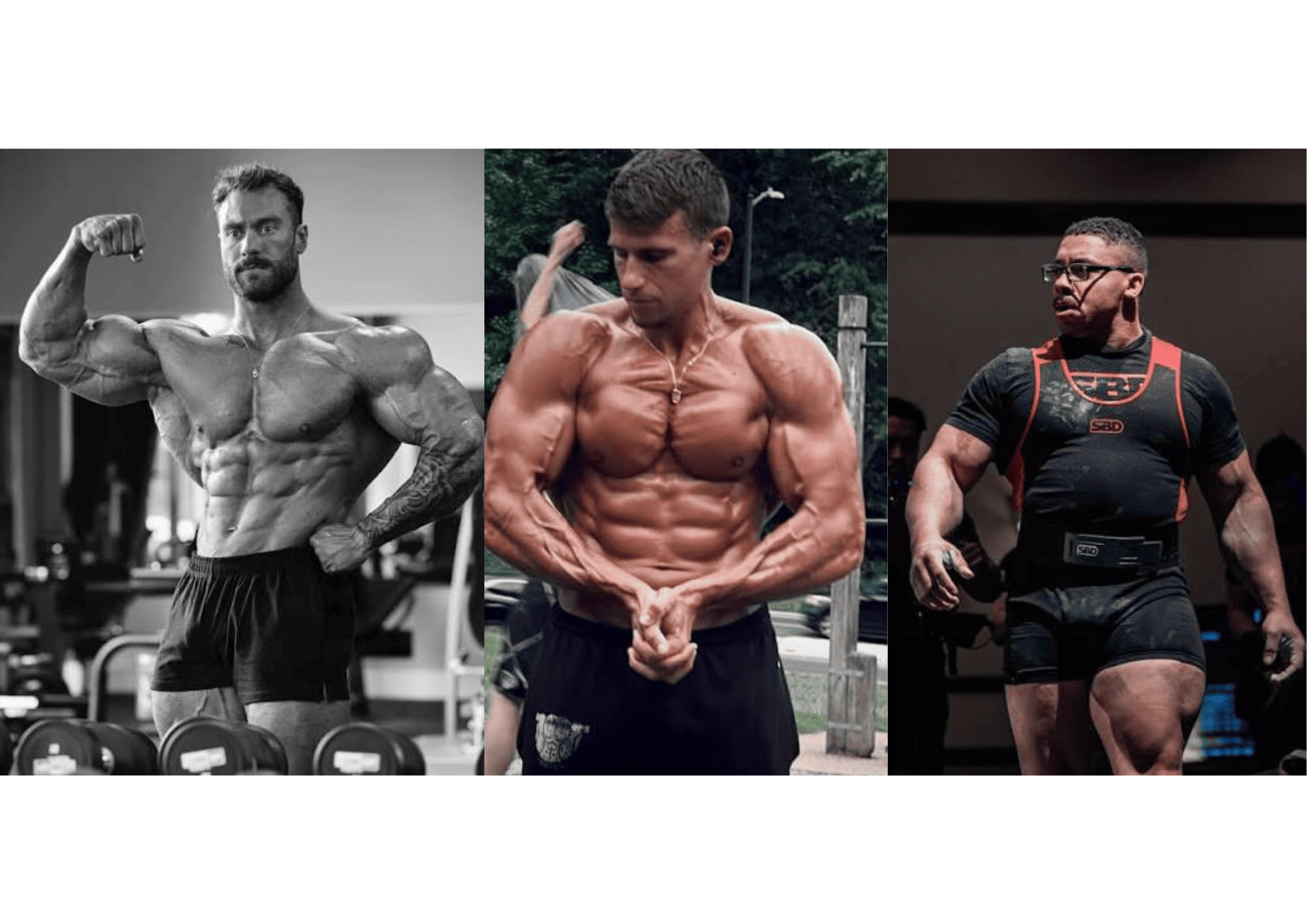 discipline comparaison