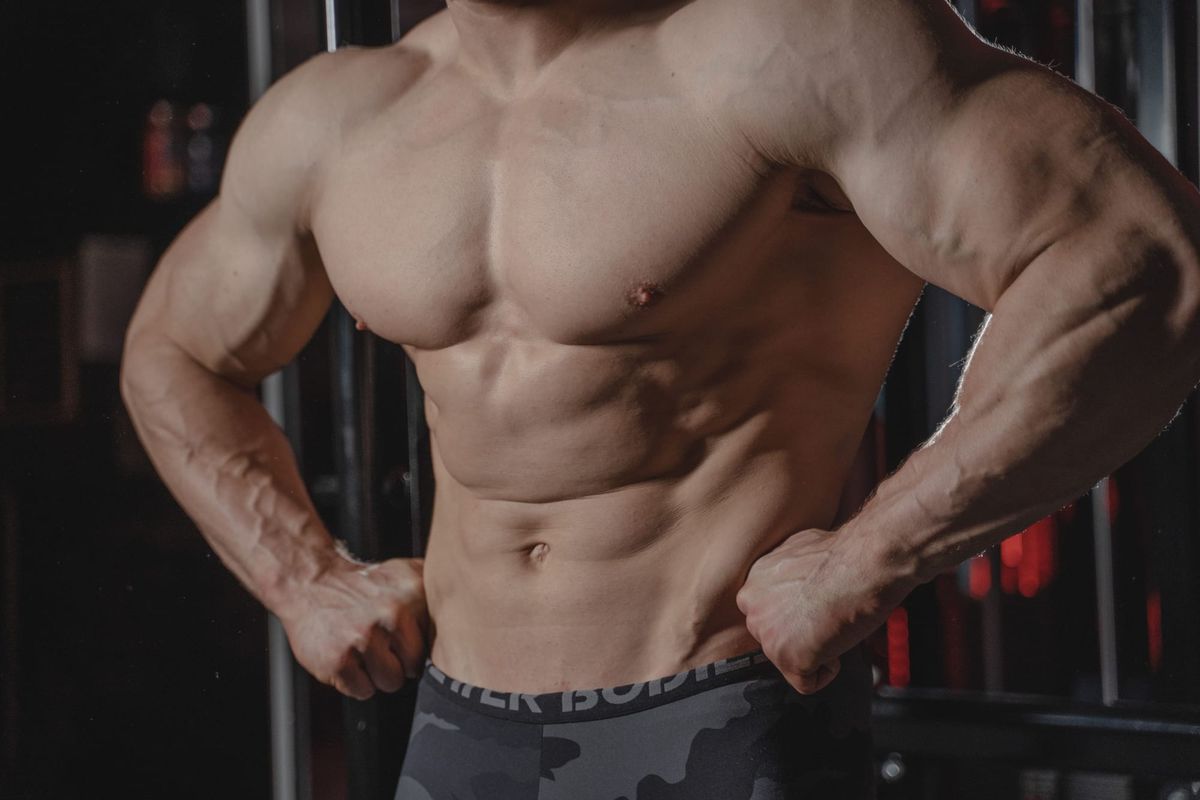 Programme musculation