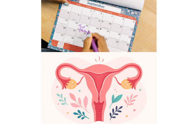 règles et cycles menstruels