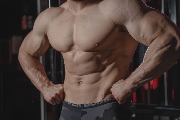 Programme musculation