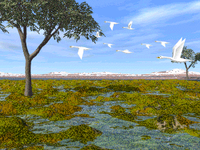 A marshland with swans flying above it