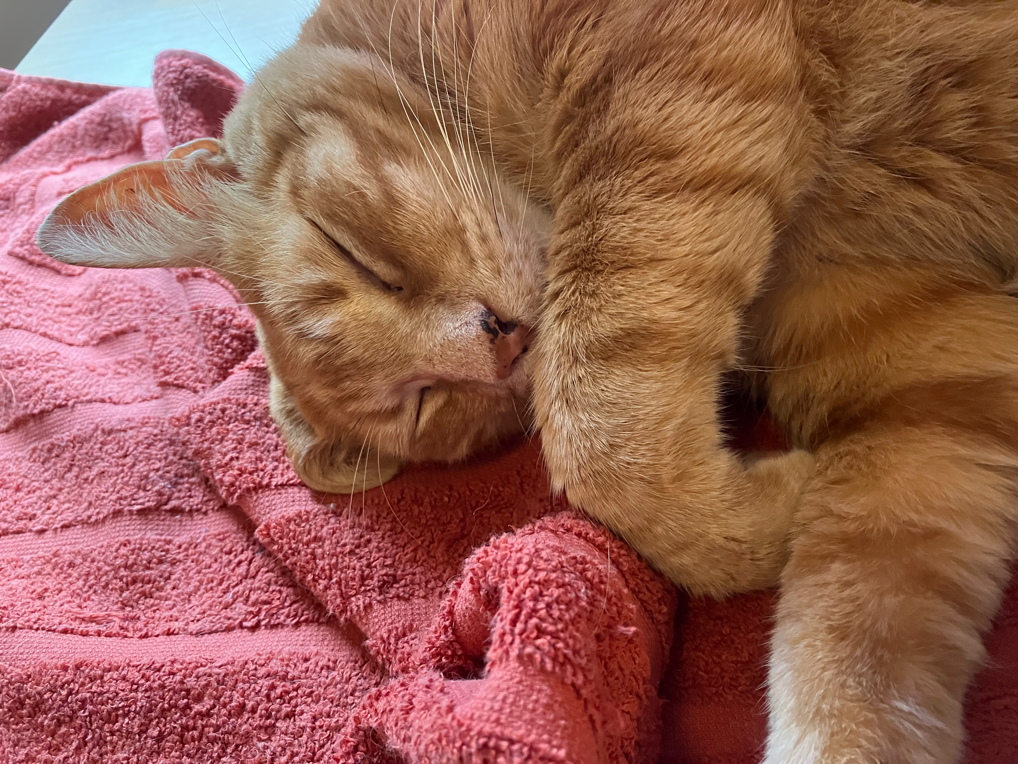 Chi practicing his time management