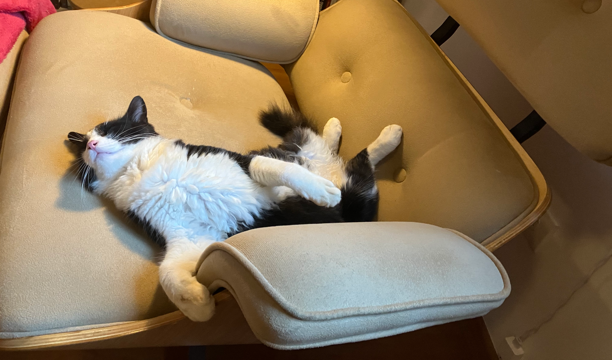 105 hours: Sleep dilemmas