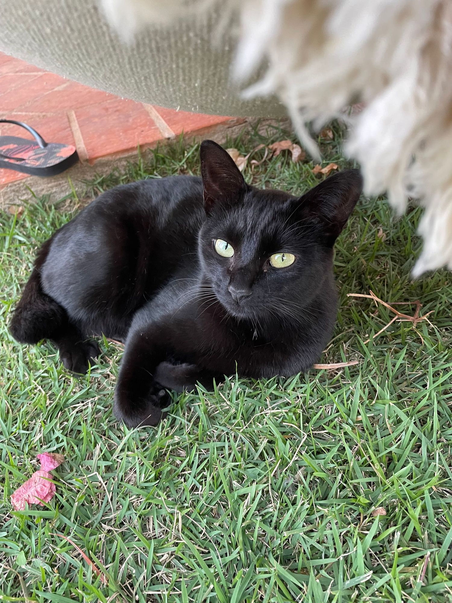 105 hours: Track time at work