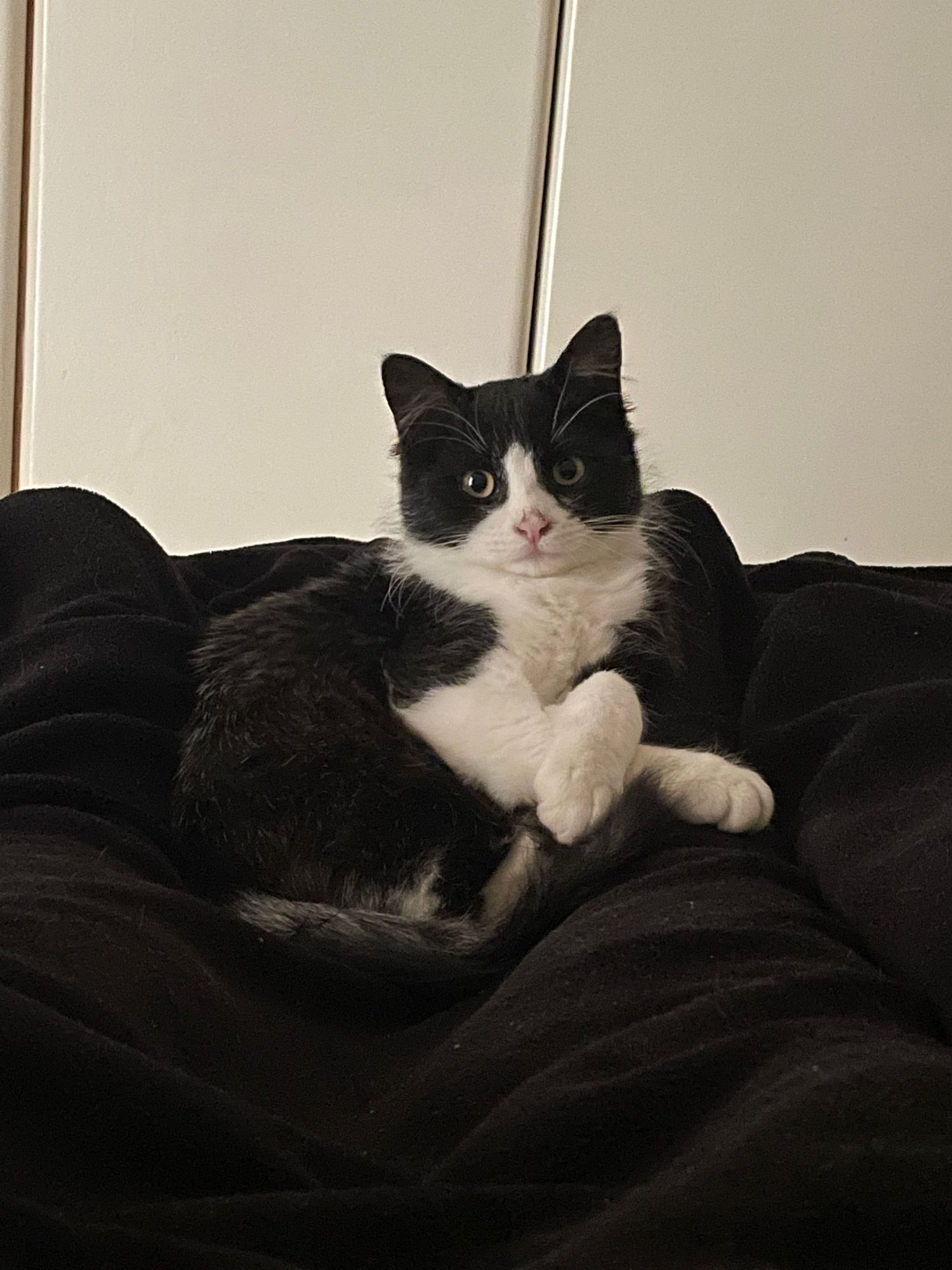 105 hours: Buy your chores time back