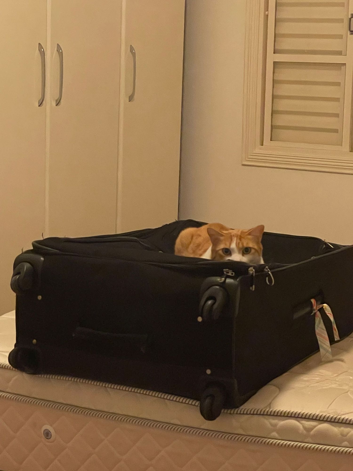 105 hours: Minimize chores