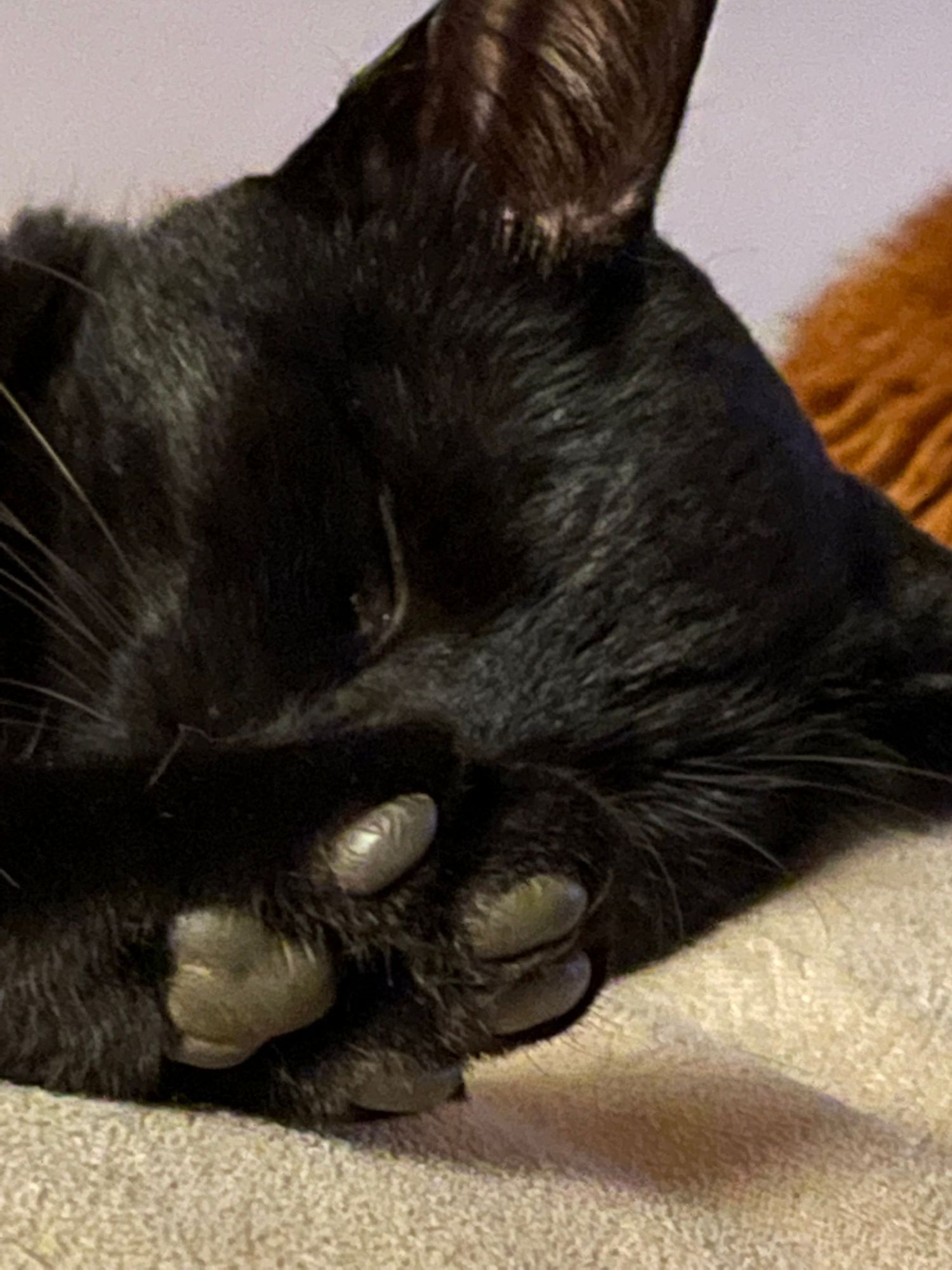 105 hours: Control computer internet use