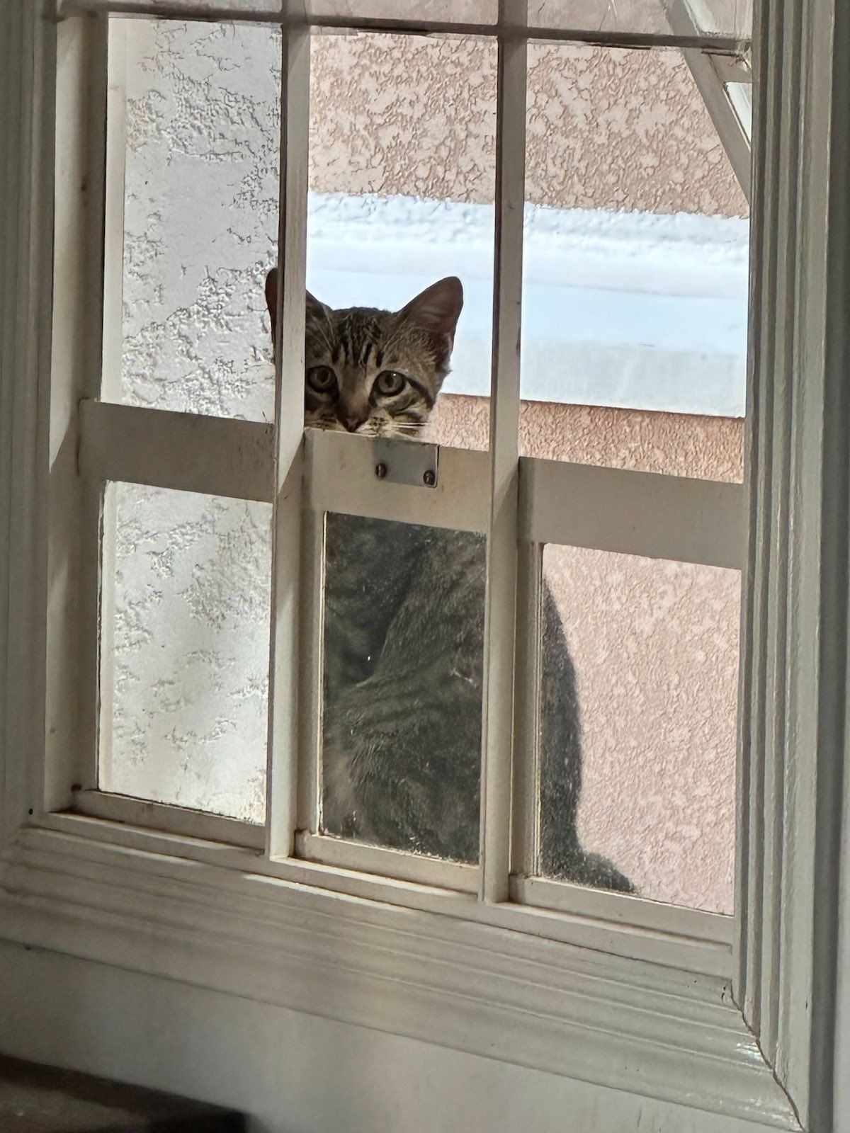 105 hours: No time for TV