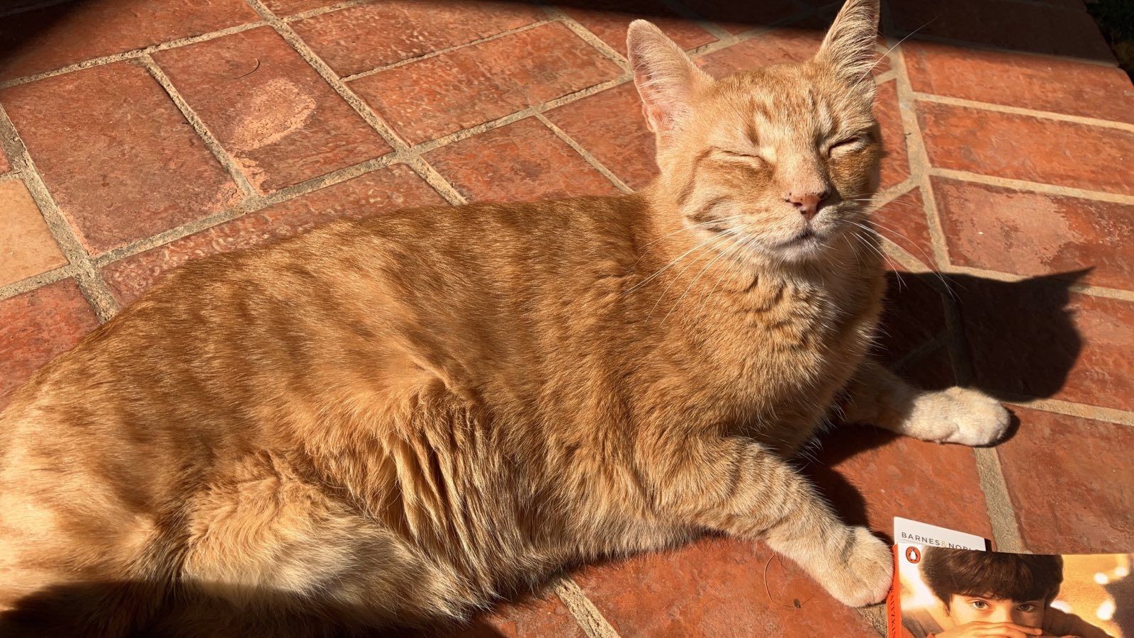 105 hours: TV is a behavioral drug