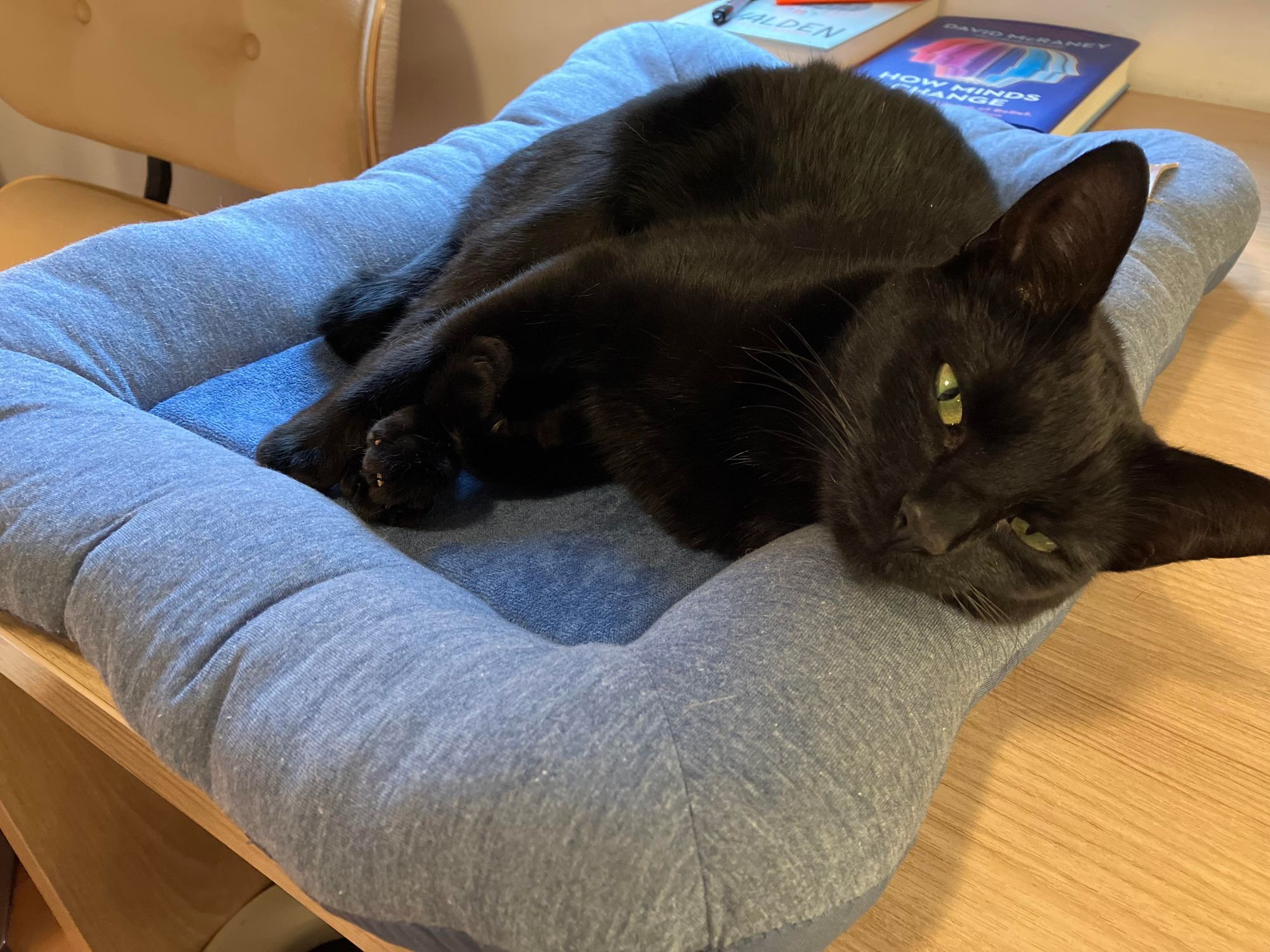 105 hours: Self-Imposed Routines