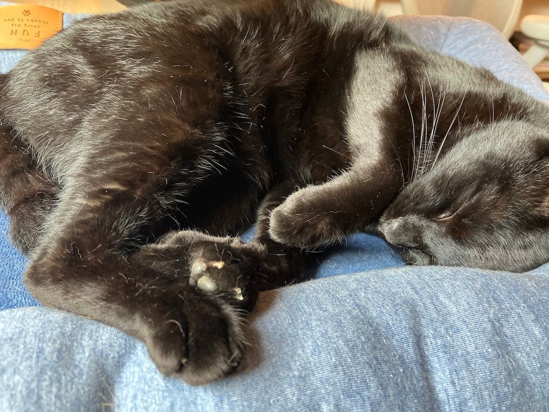 Make important things automatic