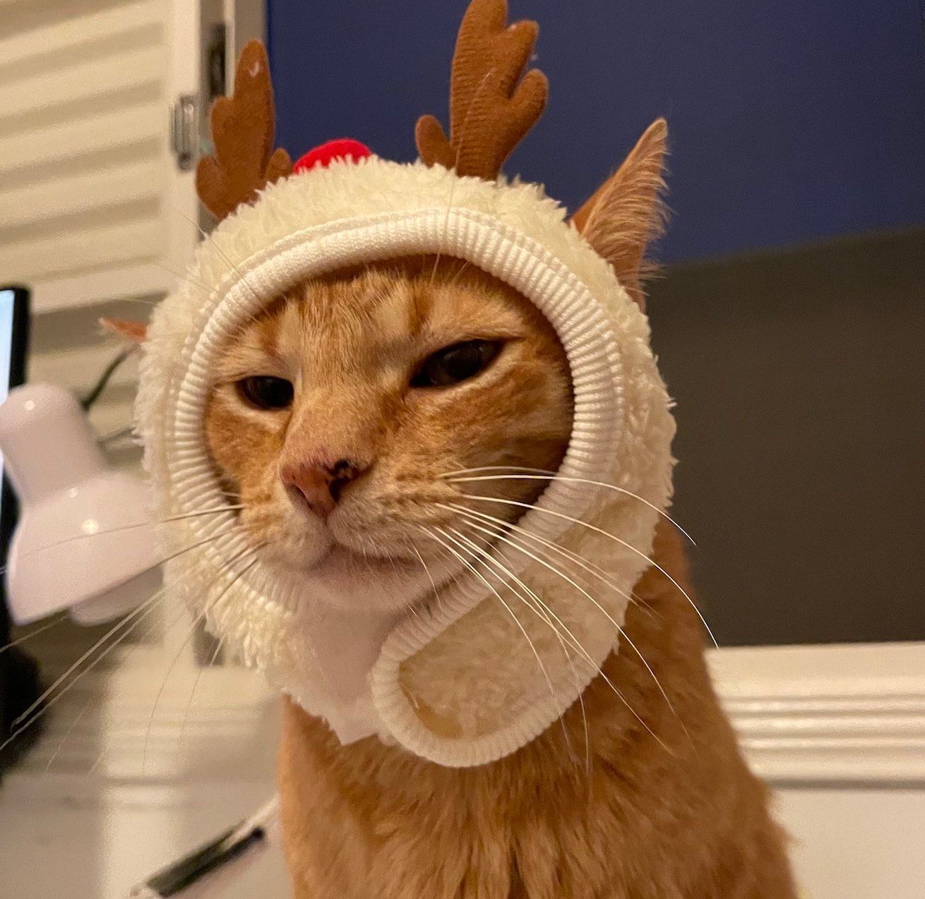 Why we have unhealthy desires and how to stop