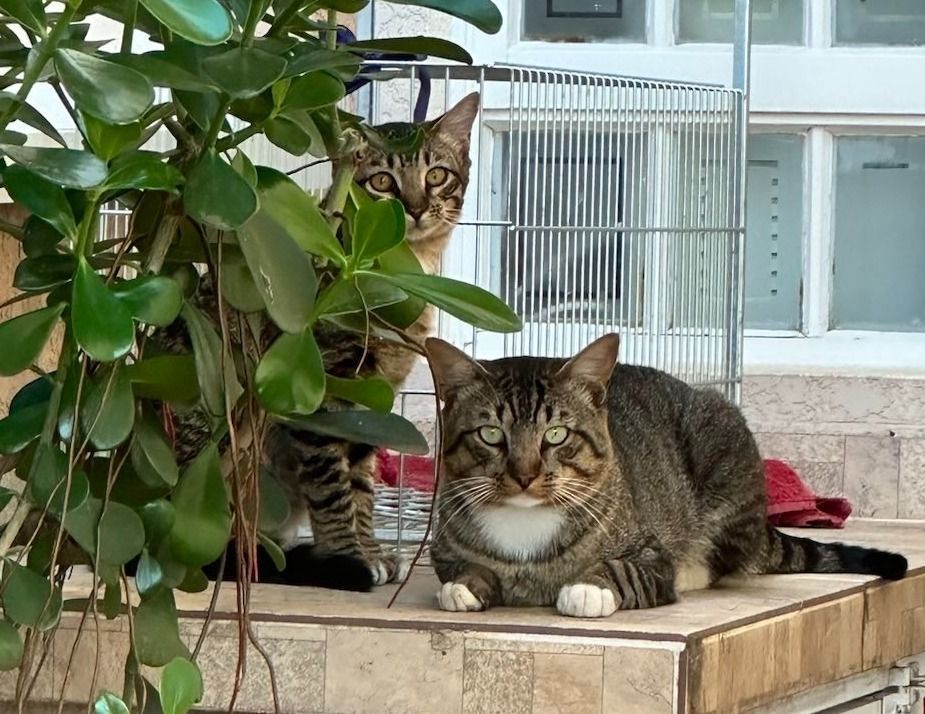 Have an activity to do right after work