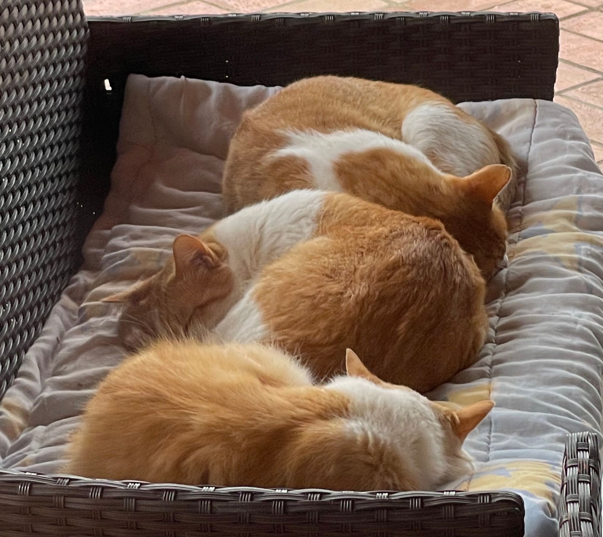 How to balance constraints