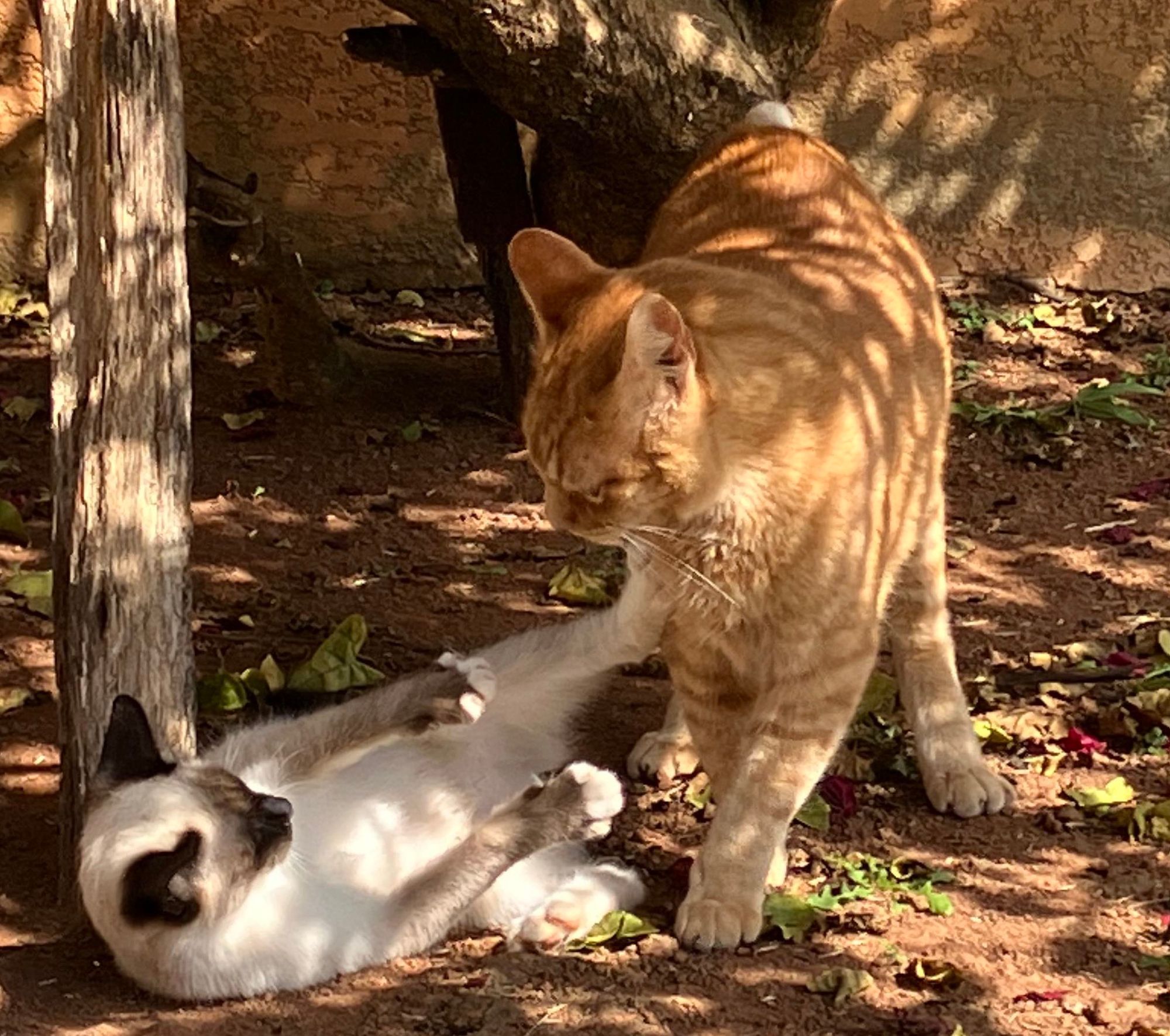 Hold on to constraints