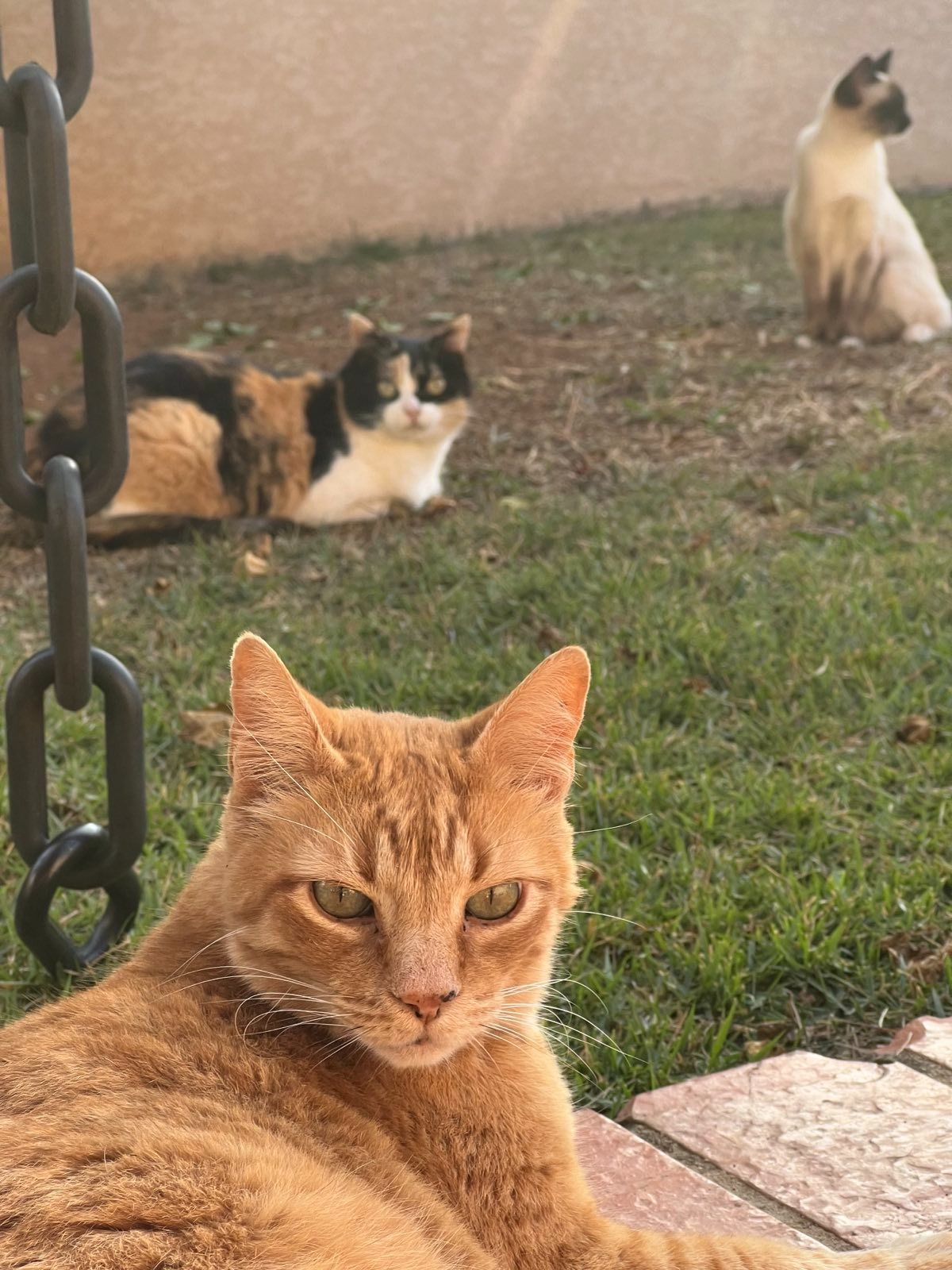 Manufacturing needs for motivation and focus