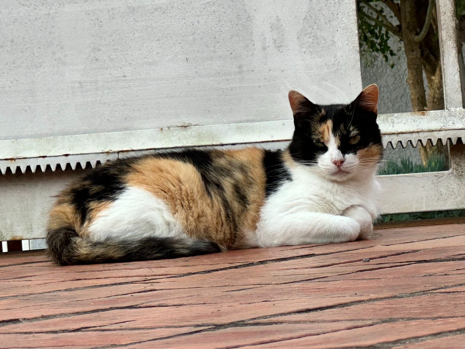 Going fast is different from rushing