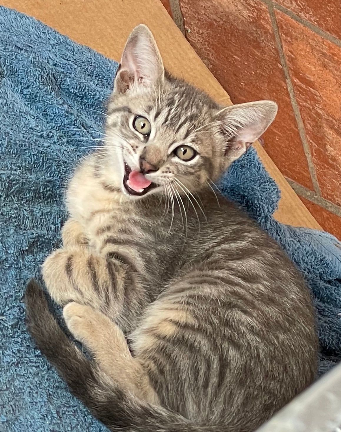 Competition as a path to self-awareness