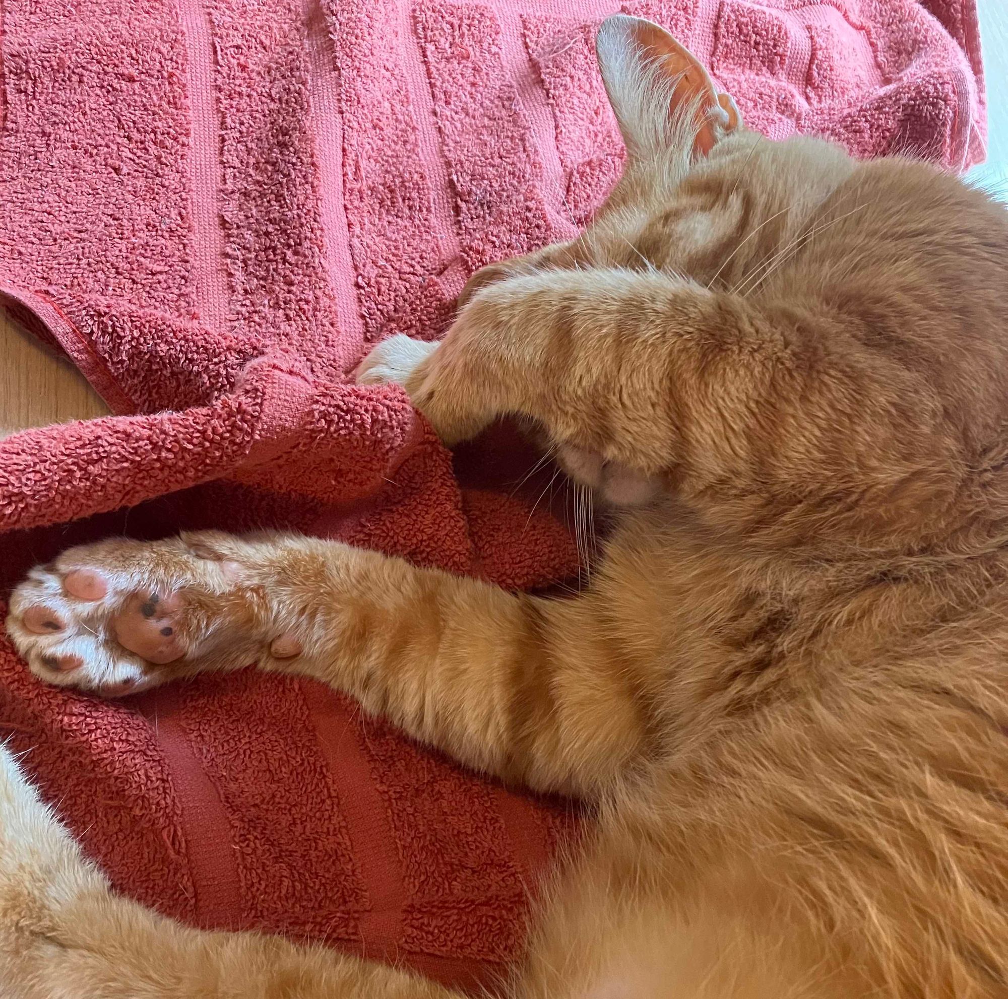 Rest: sustaining high performance