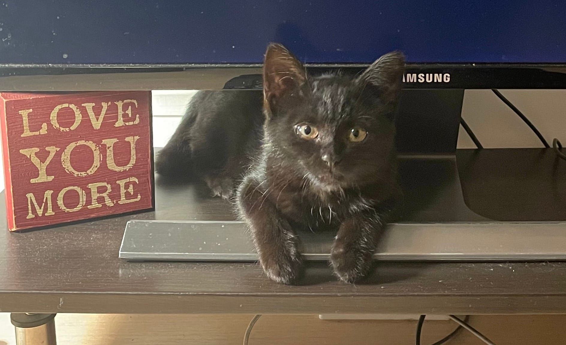 The second pillar of management: Competence