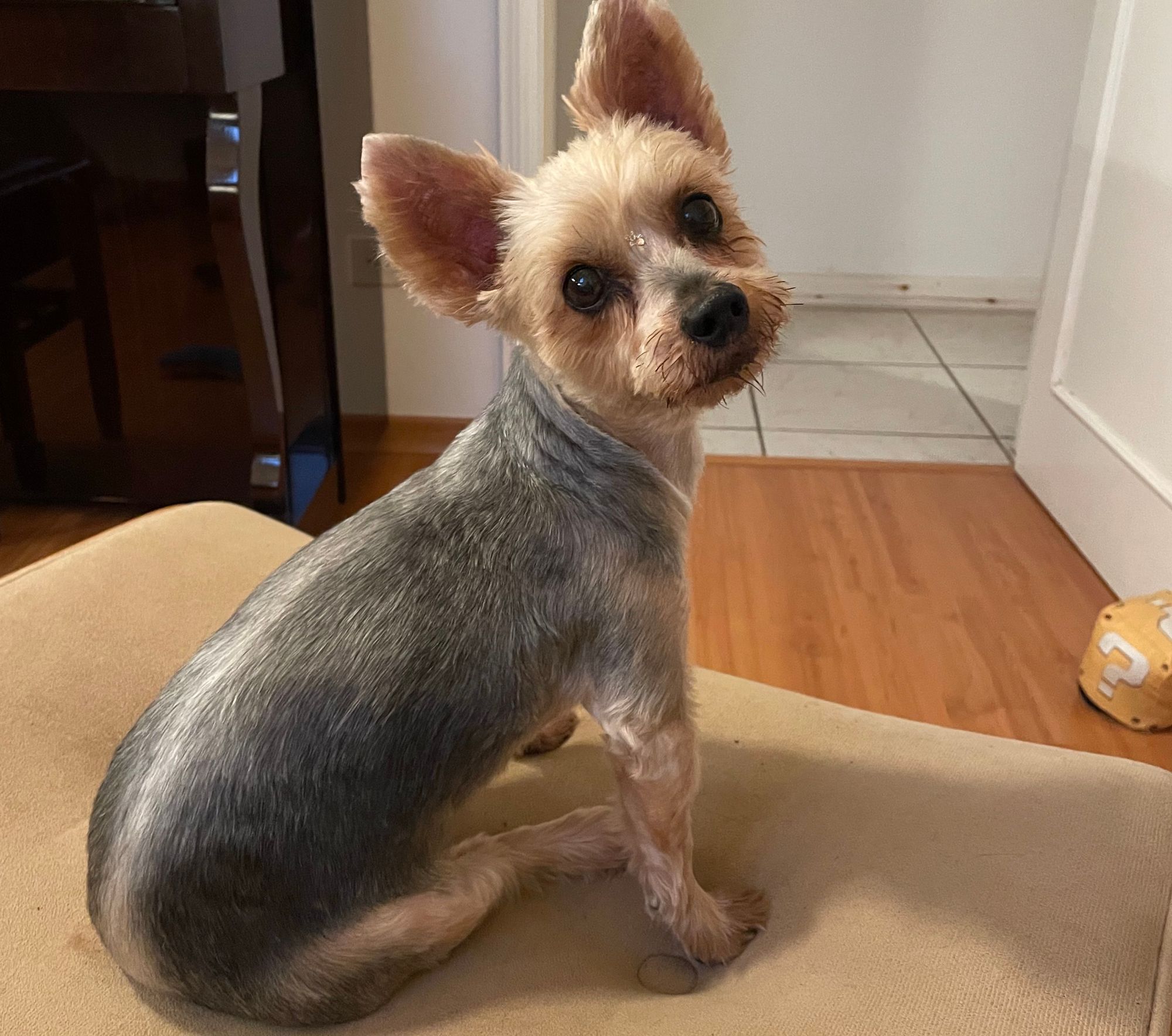 How to transition to the work you need