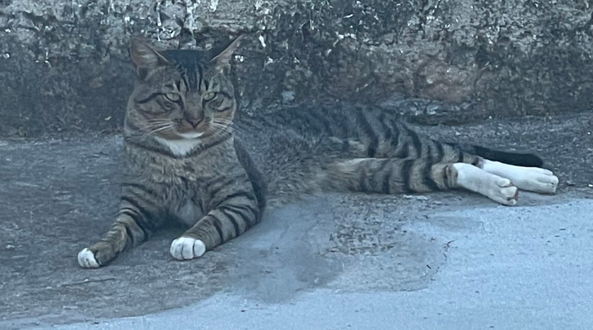 Antifragility: Turning stress into strength