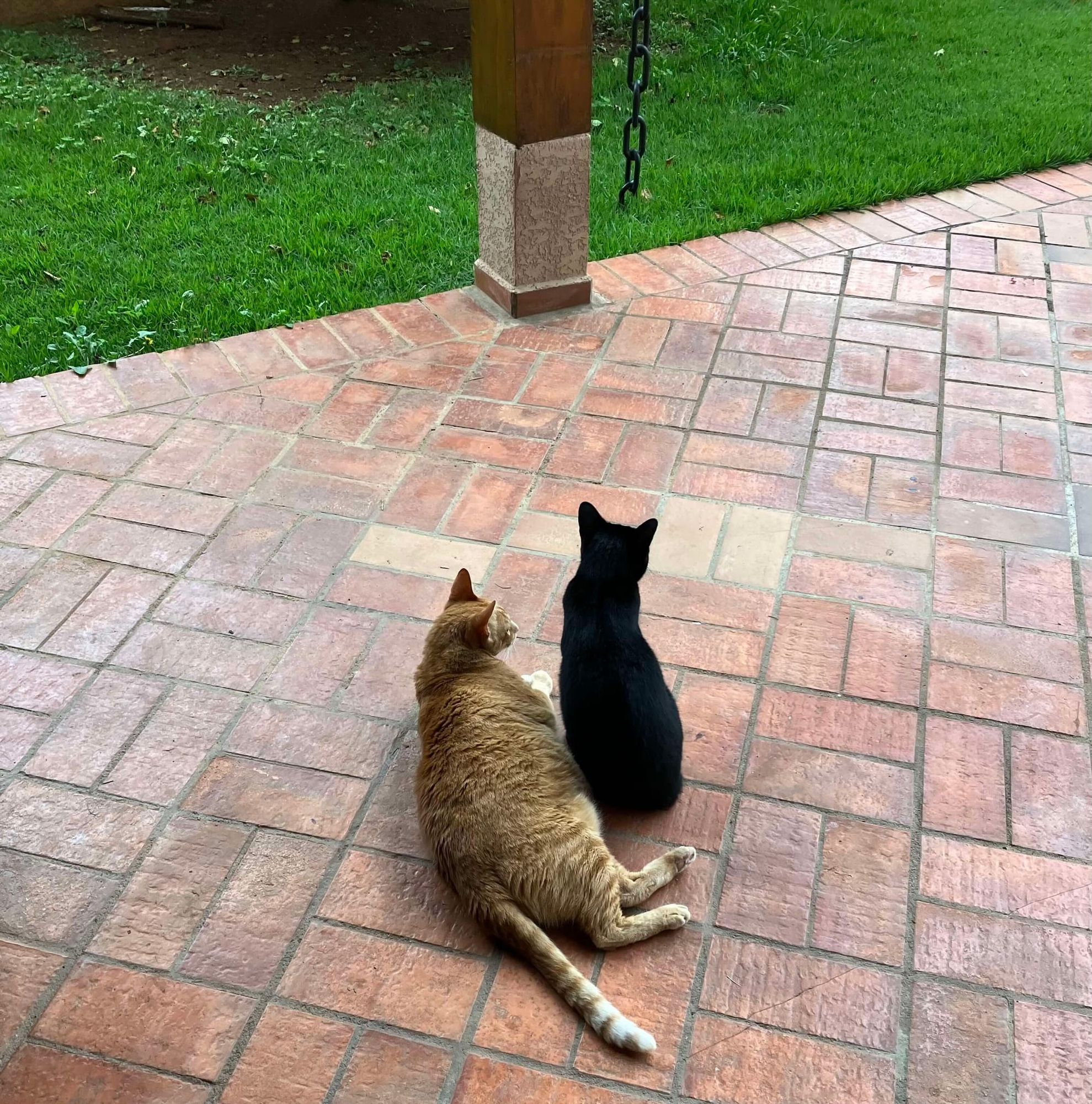 How to read a lot: Building focus and endurance