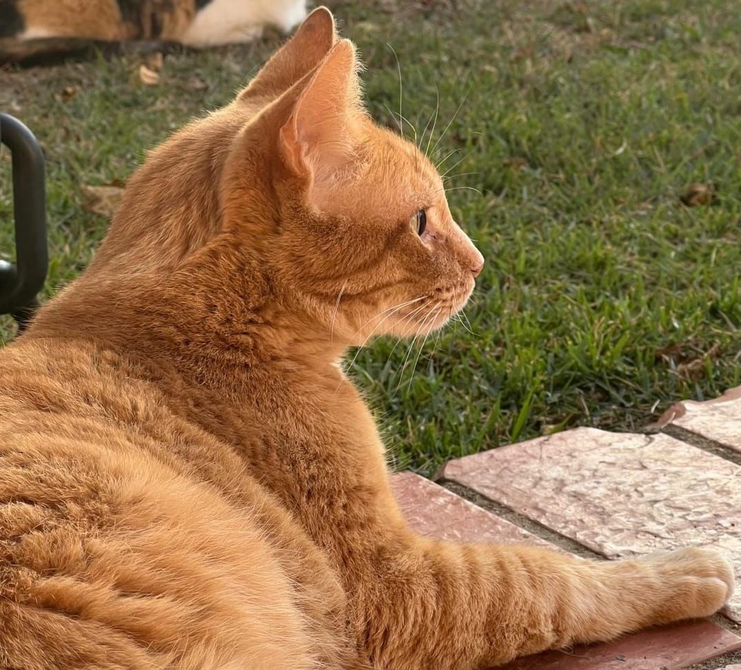 Setting strategic New Year resolutions