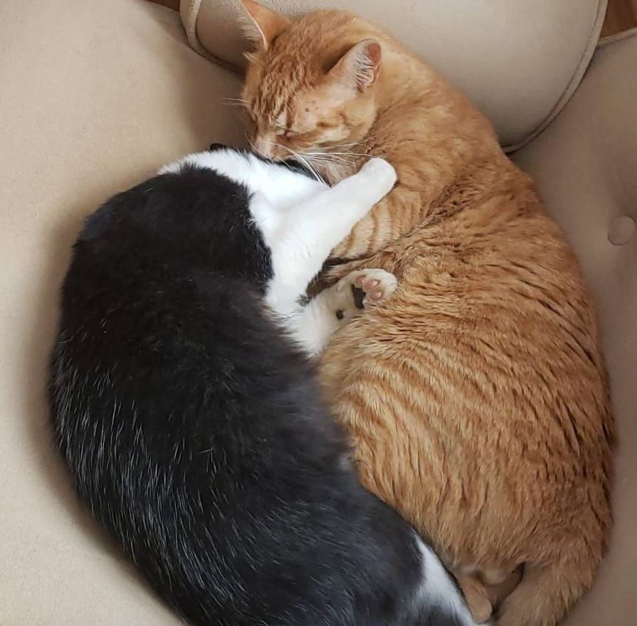 How to create a personal vision