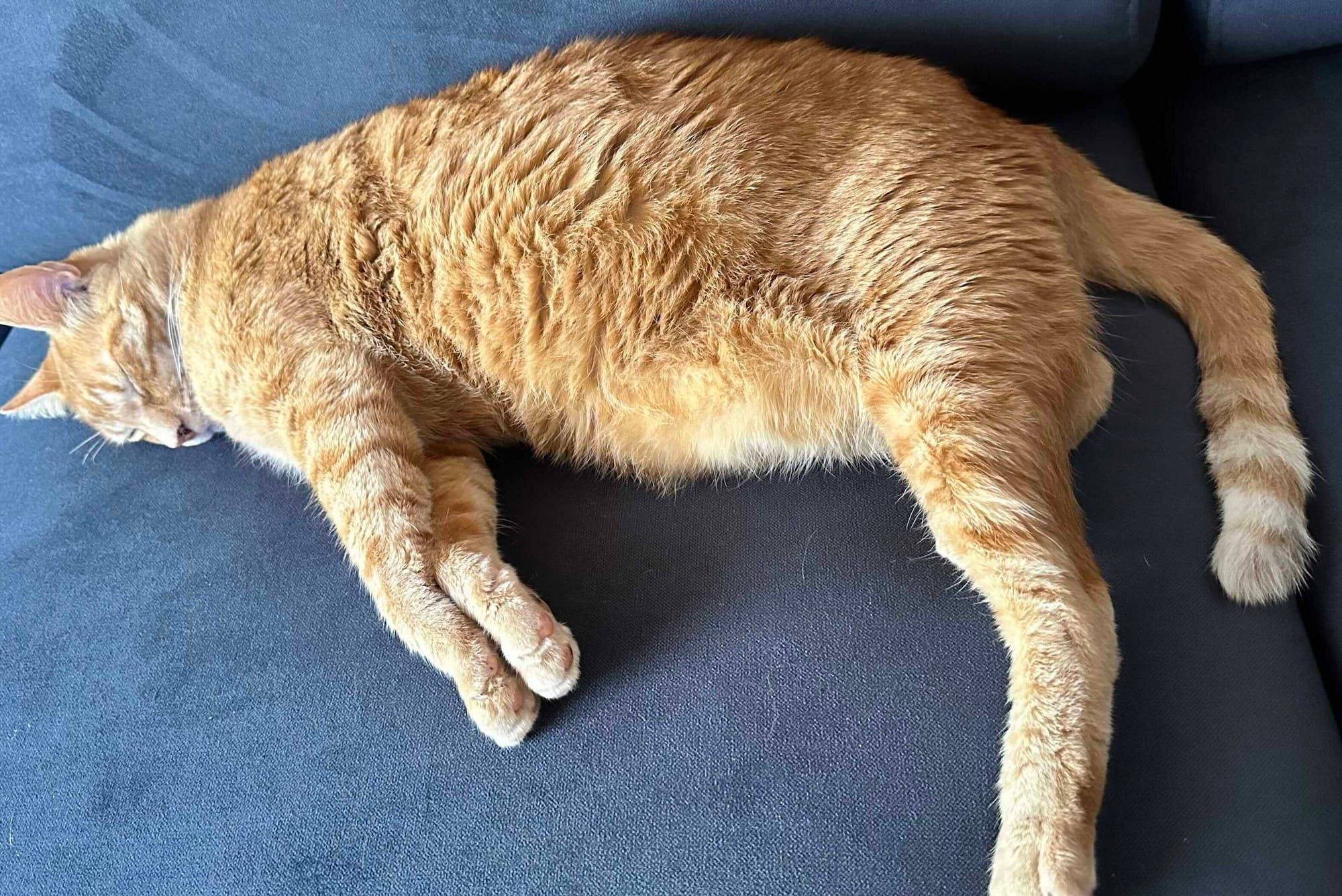 How free am I? Understanding agency and rights