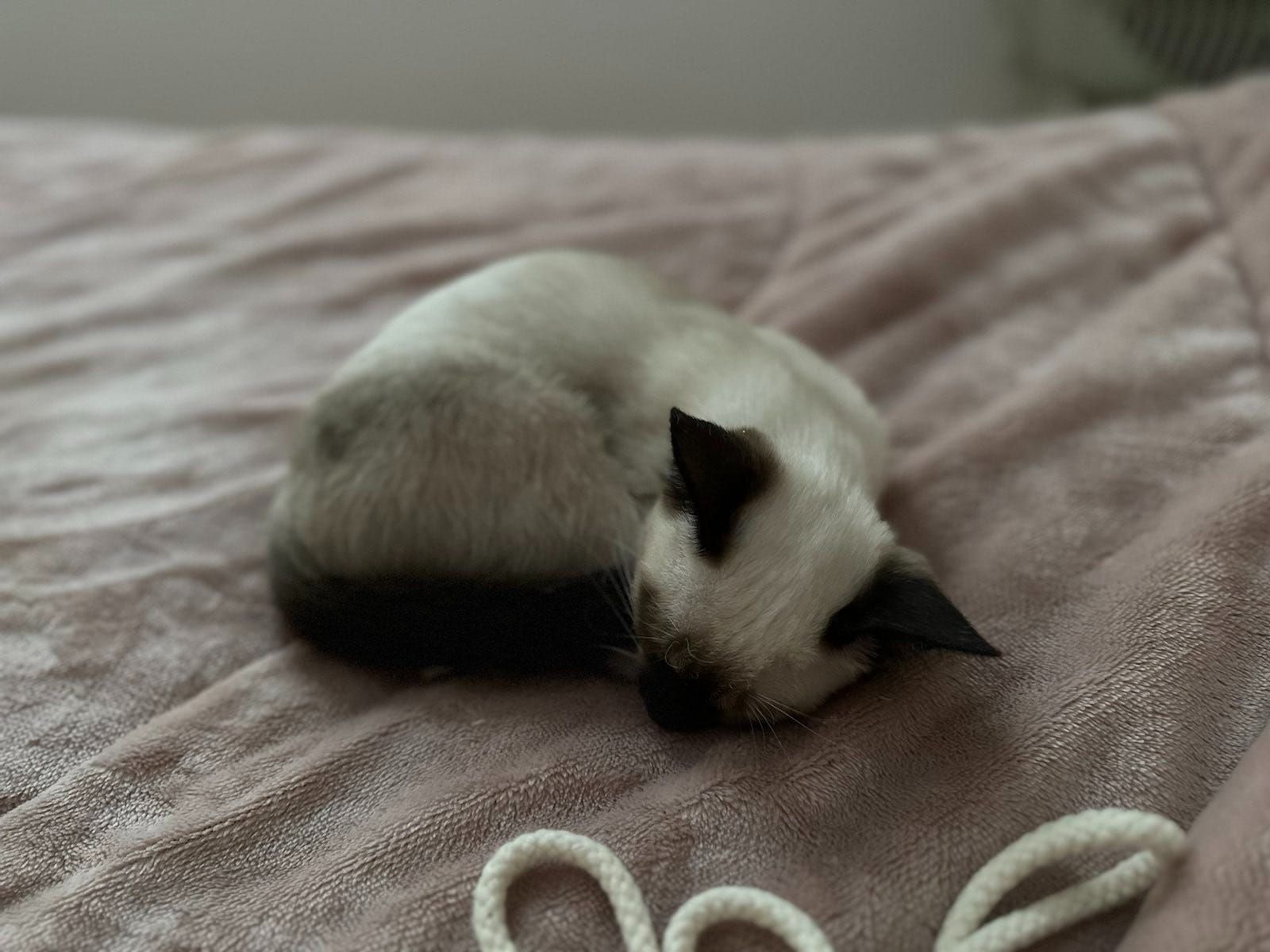 When we say "Find meaning in life," what do we mean exactly?