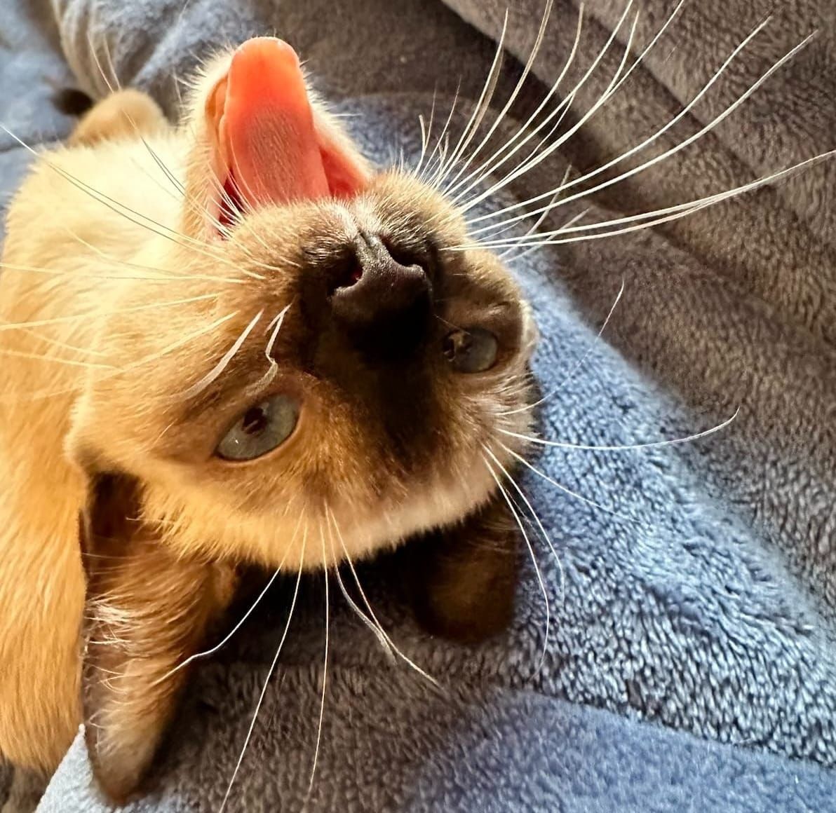 What are your gaps? Developing high standards through scorecards