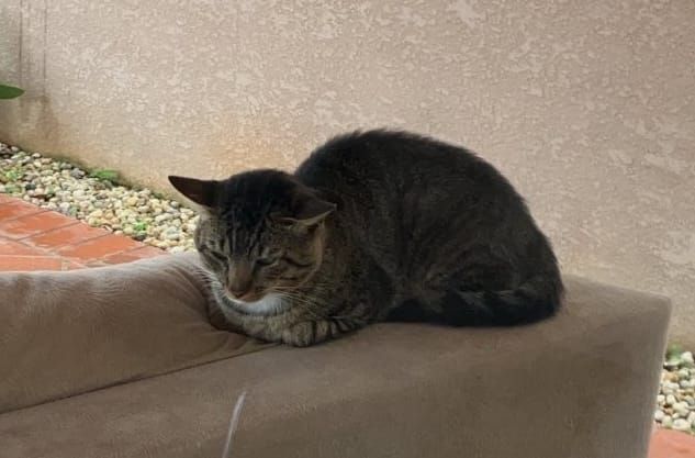 Exploring the morality of actions when removing money's influence