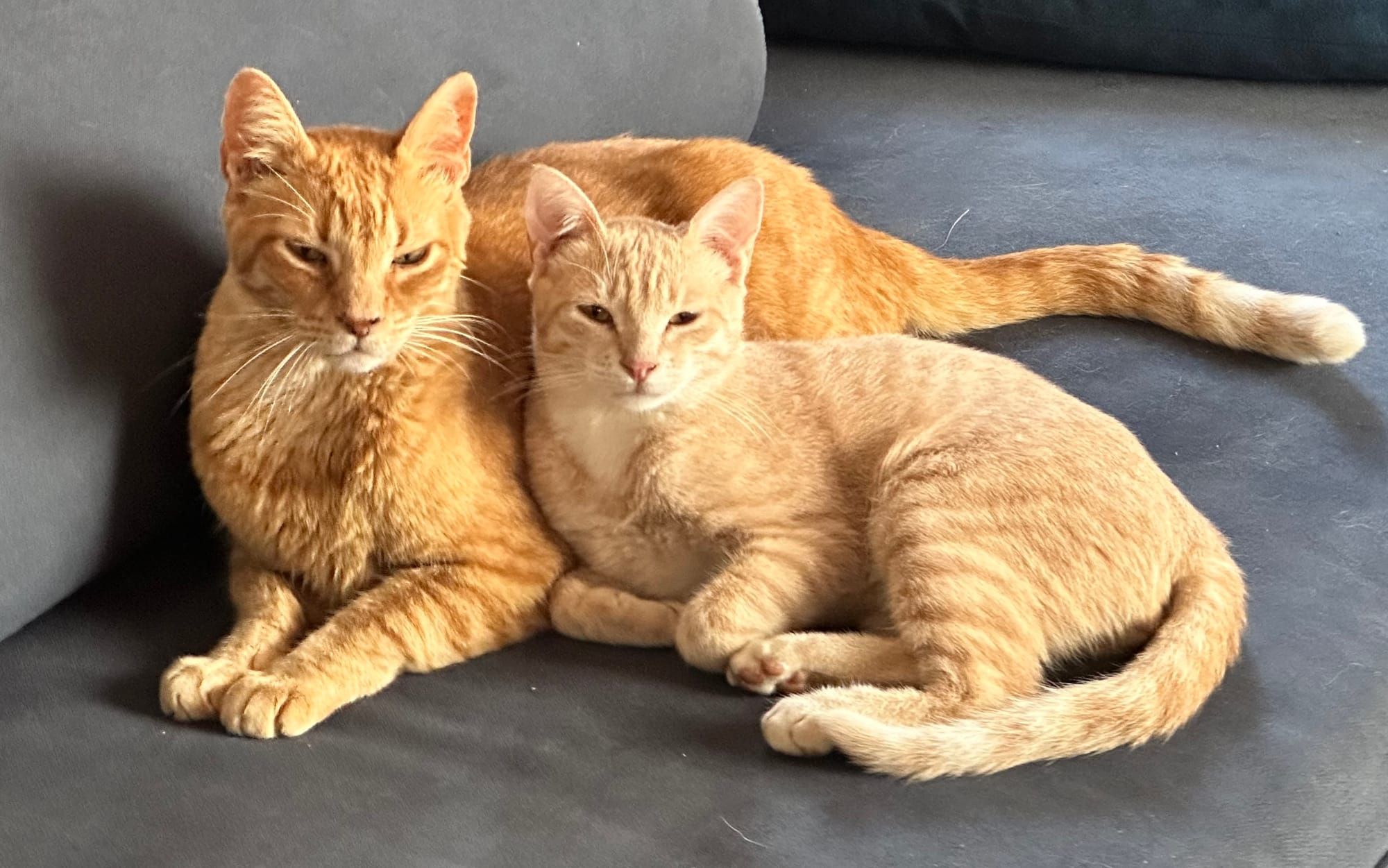 Universal Excellence – Pursue excellence in everything you choose to do