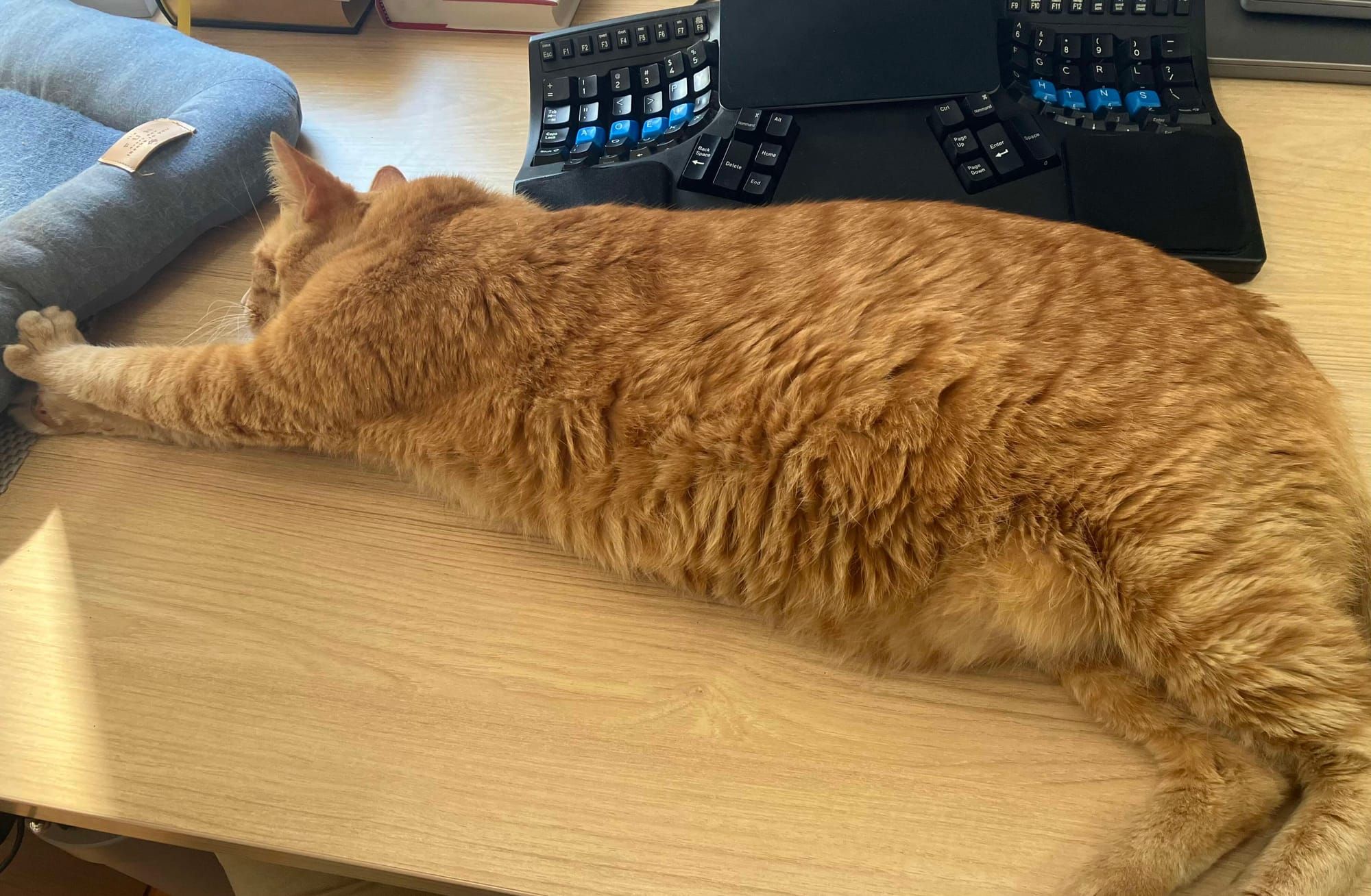 3 Steps for long term career planning