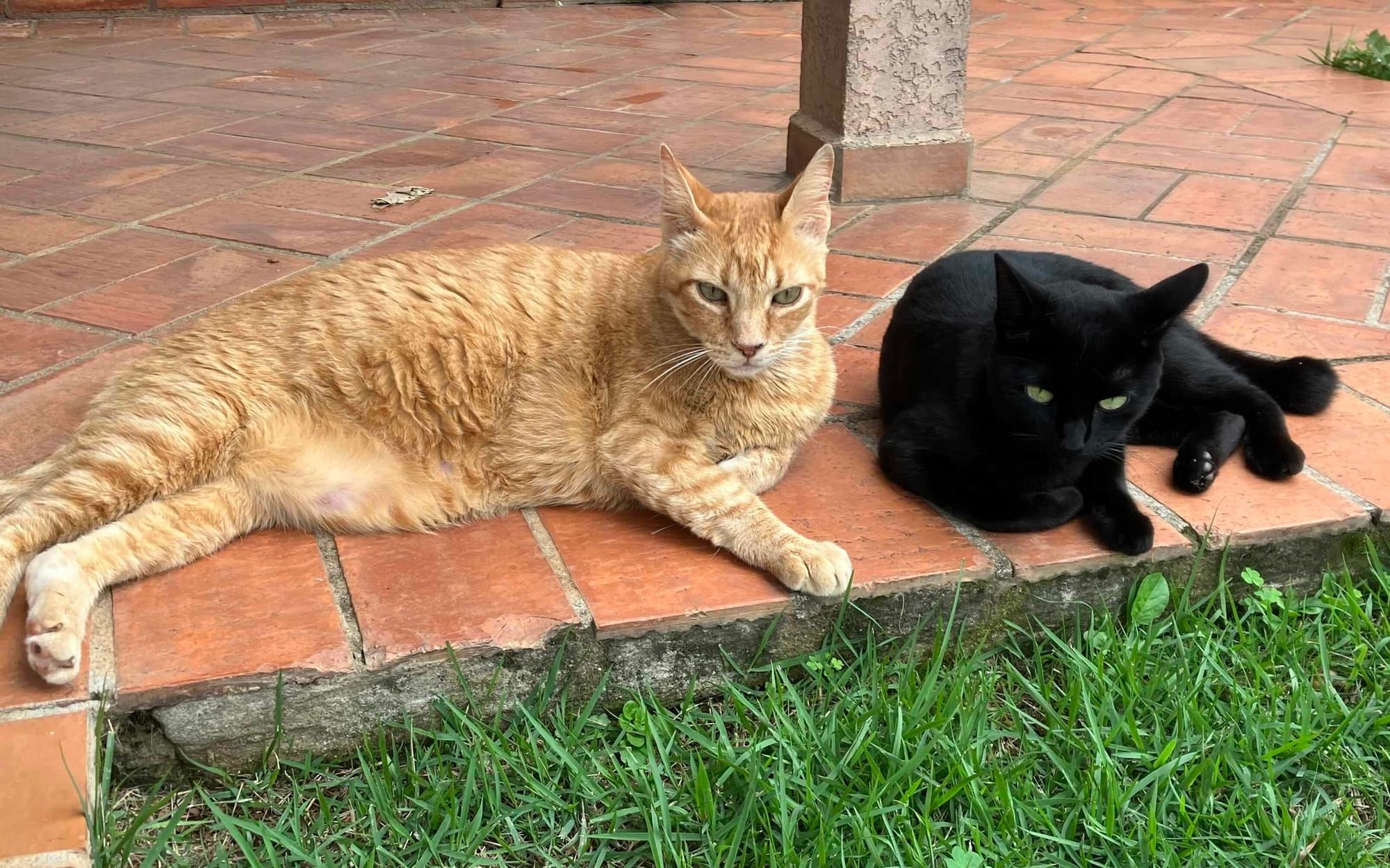 Using skill-pressure to build competencies