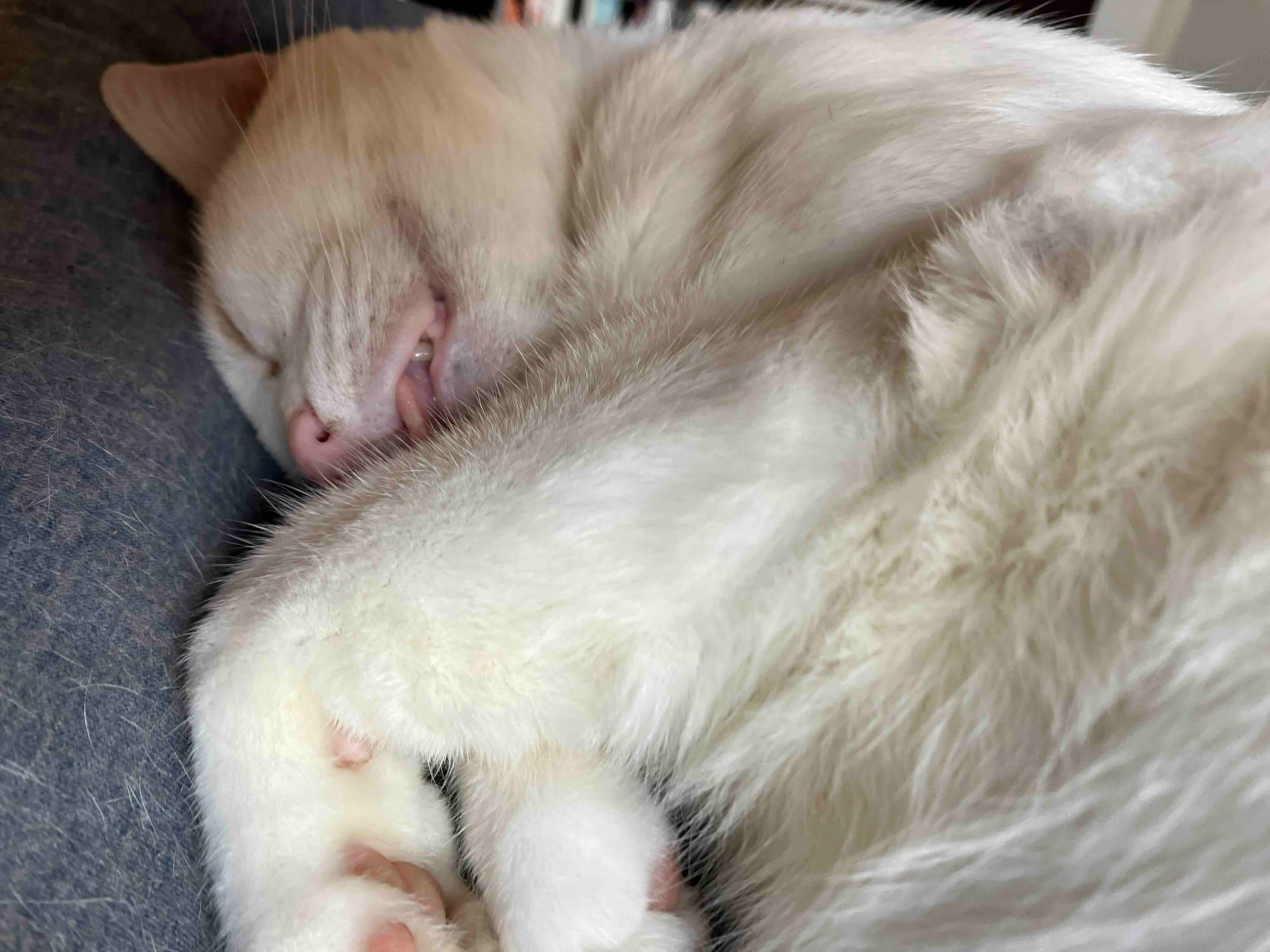 Knowledge, Practice, Trial and Performance