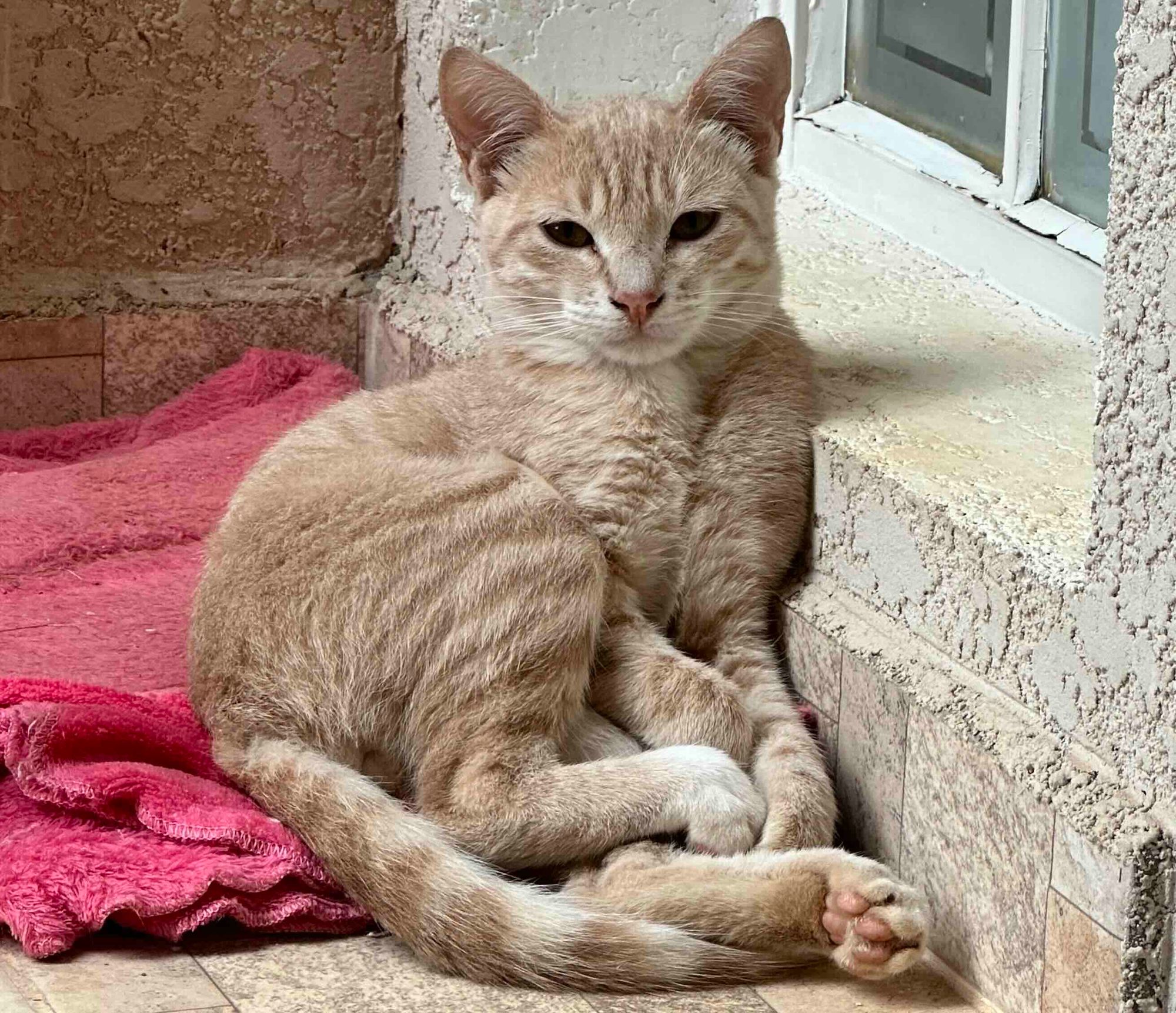 Achieving exponential outcomes by choosing the right axe