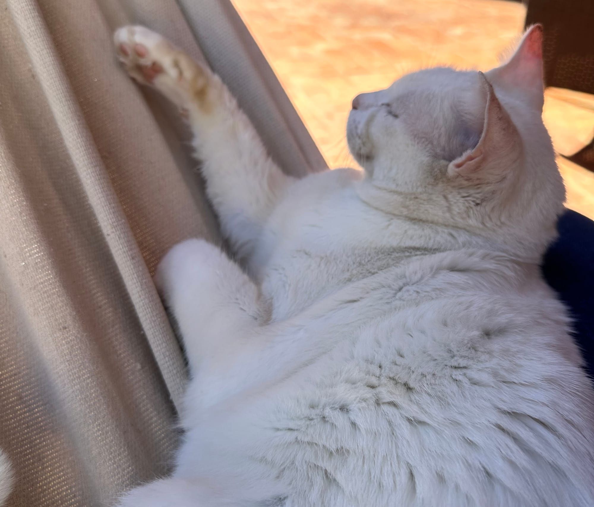 Agentic AI is the new revolution